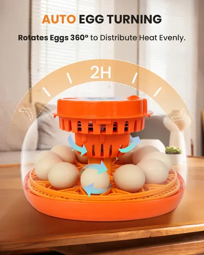 Vista 6 de Incubadora de 12 huevos con giro automático y control de humedad, incubadoras completamente automáticas con vela de huevos, kit educativo