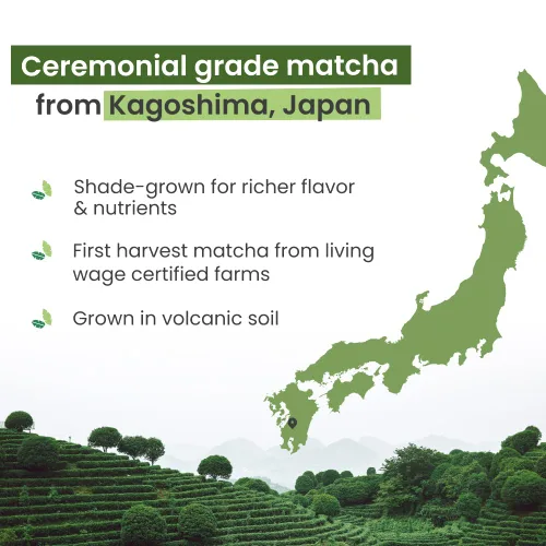 Vista 2 de PureChimp Polvo de matcha de grado ceremonial, 1.75 onzas. Té japonés puro de grado ceremonial matcha cultivado en sombra en Kagoshima. Polvo de té