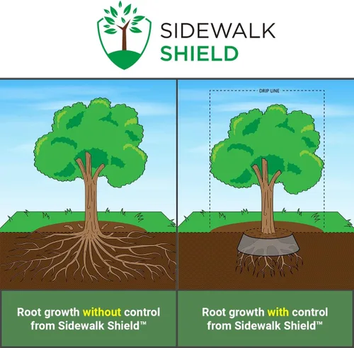 Vista 2 de Barrera de control de raíces de árbol (servicio estándar - 18 pulgadas de profundidad, 50 pies)