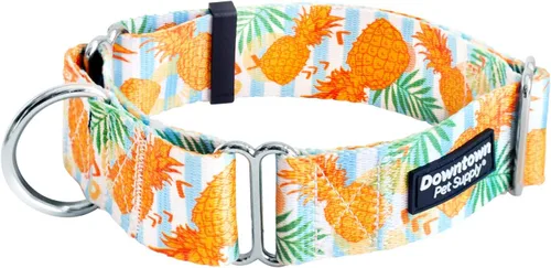 Vista 12 de Downtown Pet Supply - Collar Martingale para perros - Collar de entrenamiento para perros - Collar de perro grande, ancho y grueso - A prueba