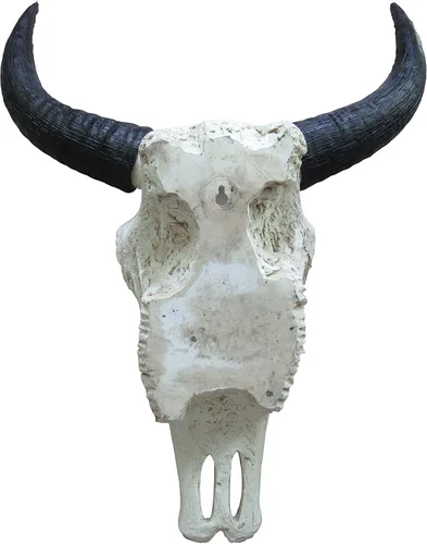 Vista 4 de DWK Calavera de buey tribal White Resin Construction, Hand-Painted Accents, Keyhole Hanger on Back, 16 In. Wide X 6.5 In. Deep