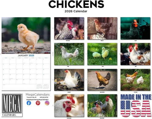 Vista 472 de Calendario de grises africanos 2025 2026 – Planificador mensual de pared de aves africanas – 12 x 18 pulgadas (abierto), calendario de pared