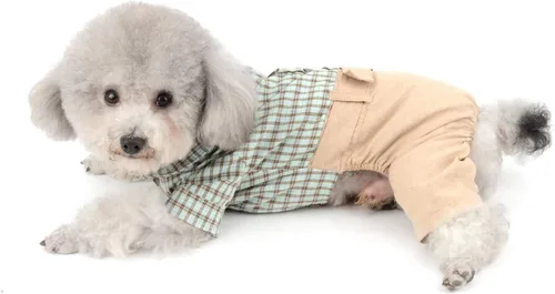 Vista 5 de SMALLLEE_Lucky_Store Camisas de algodón a cuadros británicos con botones para perros pequeños, niños con cinturón, pantalones casuales