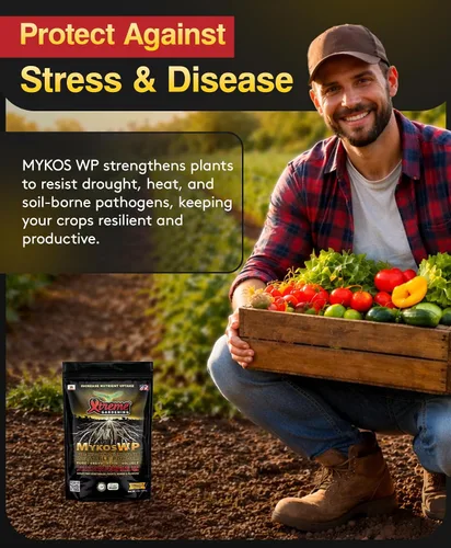 Vista 6 de Xtreme Gardening Mykos WP Mycorrhizae Powder - Micorrizas orgánicas para plantas - Estimulador de raíces de hongos micorrícicos para plantas - Ideal