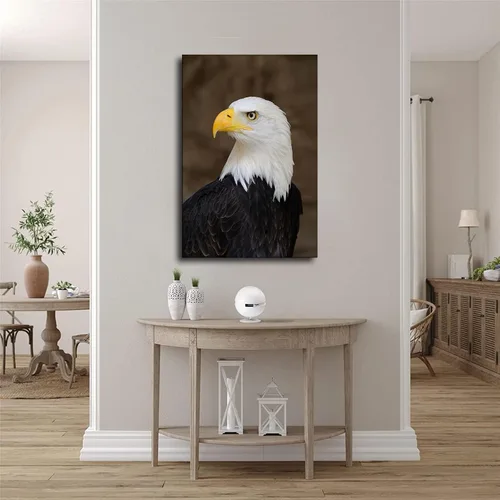 Vista 2 de SinYor Póster de retrato de un águila calva patriótico de Estados Unidos, arte de pared moderno para habitación, sala de estar, baño, cocina