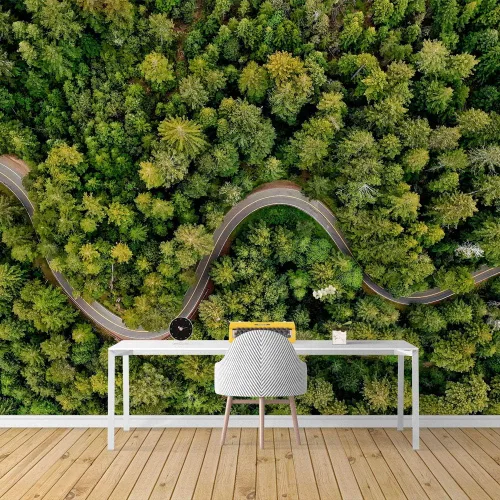 Vista 15 de SIGNFORD Adhesivo removible de pared/mural de pared, verde esmeralda, sol, bosque, árbol, árbol, naturaleza, desierto, fotografía, realismo