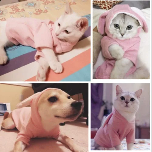 Vista 5 de ANIAC Sudadera con capucha para perro, con orejas de conejo, ropa de primavera para cachorros para perros pequeños, hembras, niños, suéter suave