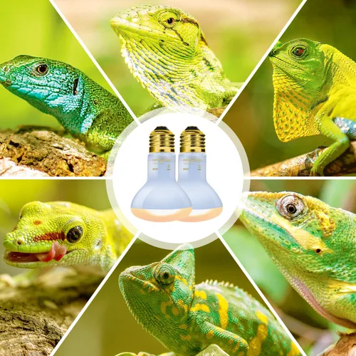 Vista 9 de REPTI ZOO Lámpara de calor para reptiles, paquete de 2 lámparas de 50 W para reptiles UVA luz diurna lámpara de calefacción bombilla bombilla luz