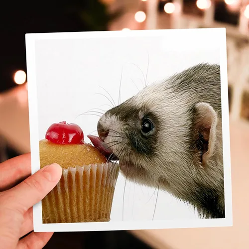 Vista 6 de Tarjeta de felicitación - Cupcake de hurón comiendo - Animales