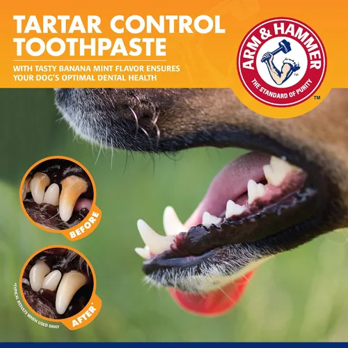 Vista 4 de Arm & Hammer para mascotas kit de 3 piezas para control del sarro para perros, contiene pasta, cepillo de dientes y cepillo para el dedo, reduce