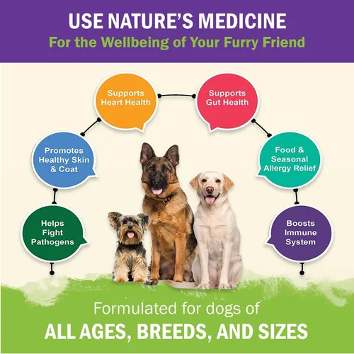 Vista 5 de Polvo de apoyo inmunológico para perros, cola de pavo, espirulina y beta-glucano, apoya un sistema inmunológico saludable y digestión, grado humano