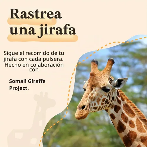 Vista 6 de Fahlo Pulsera de seguimiento de jirafa – Sigue el viaje de una jirafa real – Apoya la conservación de la vida silvestre – Elástica, talla única