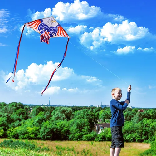 Vista 2 de Xida Large Patriotic Eagle Kites for Adults and Kids Ages 4-12 Easy to Fly Águila Libertad