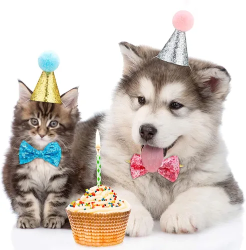 Vista 4 de Satinior Juego de 4 pajaritas con sombrero de cumpleaños de gato, azul lago