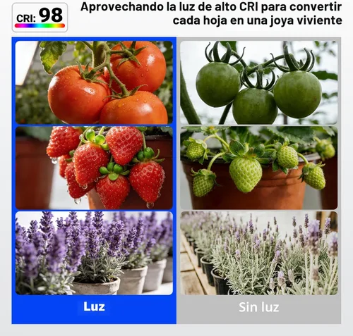 Vista 8 de Barrina Orbgrow OG11A - Bombillas de cultivo para plantas de interior, atenuación y sincronización integradas, 4000K 11W (equivalente a 100 W)