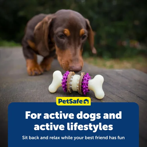 Vista 6 de PetSafe Busy Buddy Bristle Bone - Hueso de Cerdas - Juguete Duradero para Masticar para Perros con Cerdas y Protuberancias de Goma para la Salud