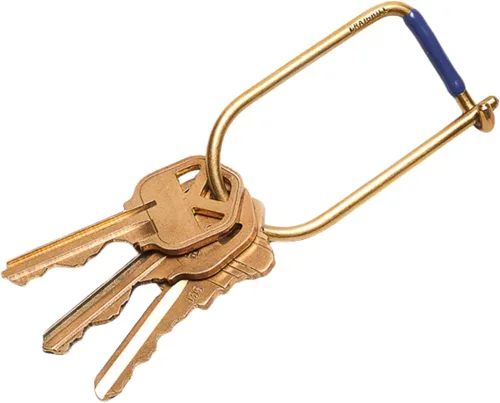 Vista 10 de Craighill Wilson Keyring - 2" Carabiner Keychain Clip, Key Ring for Car Keys, Lightweight, D Ring Key Organizer