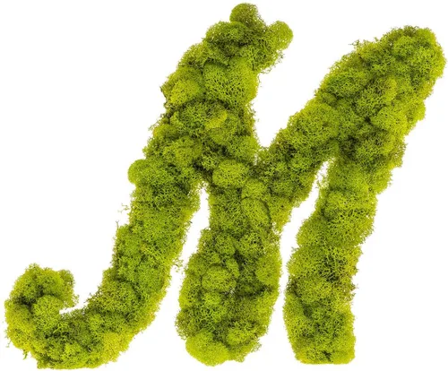 Vista 3 de Iniciales de monograma preservadas Moss Letter Art Design & Decor Arreglo de pared - Personalízalo