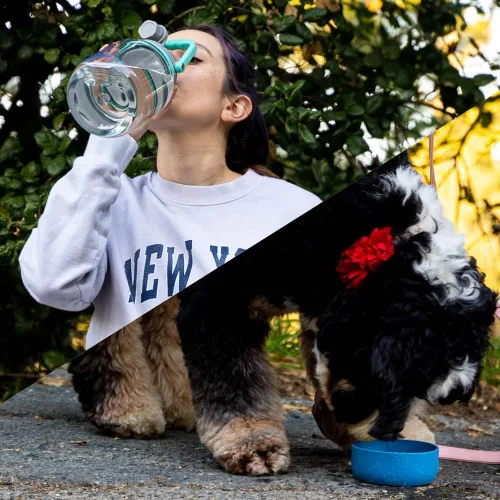 Vista 7 de Asobu Buddy Bottle - Botella de agua aislada de acero inoxidable para con cuenco de agua extraíble para perro y cuenco de almacenamiento de comida