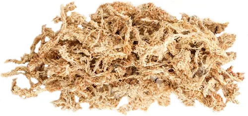 Vista 7 de SuperMoss (22306) Musgo Sphagnum, fibra de larga duración superior retención de agua para orquídeas y plantas de vivero, 4 onzas de color blanco