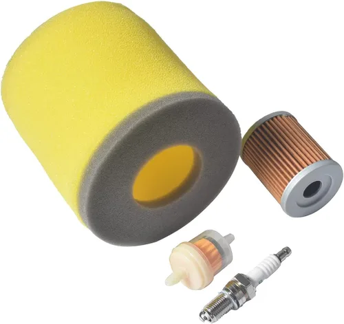 Vista 2 de Kit de filtro de aire para Ozark 250 2X4 2002-2004 2005 2006 para SUZUKI LT-F250 13780-05G00