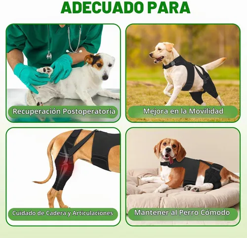 Vista 4 de Rodilleras para perro para soporte de pierna trasera, soporte ACL/CCL