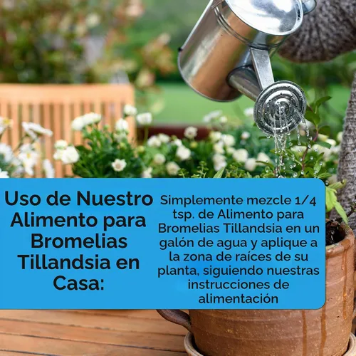 Vista 4 de Grow More Bromeliad Tillandsia Food (17-8-22) - 1.25 libras de fertilizante soluble en agua para plantas de aire - Fertilizante de liberación lenta