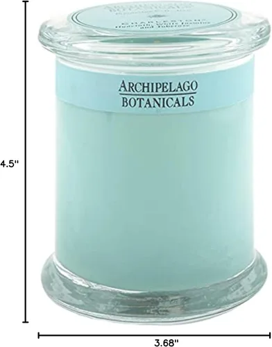 Vista 5 de Archipelago Botanicals Charleston Vela en tarro de cristal, aroma a jazmín, tuberosa y jacinto, mechas de vela sin plomo, quema aproximadamente 60