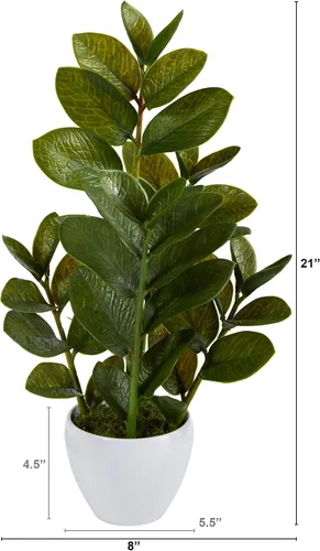 Vista 2 de Planta ZZ Nearly Natural de 22 pulgadas, planta artificial Zamioculcas en maceta blanca