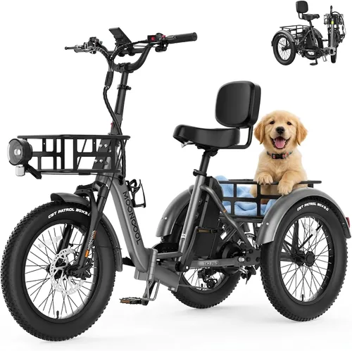 Vista 21 de MOONCOOL Triciclo eléctrico plegable para adultos, E-Trike de aluminio de 20 pulgadas con función de marcha atrás y opciones de largo alcance, Plata