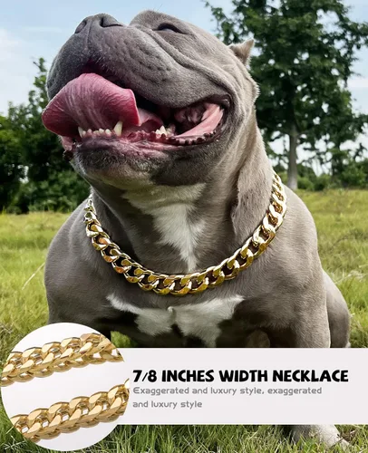 Vista 7 de Collar de perro de cadena dorada – Collar de perro de eslabones cubanos de metal de 7/8 pulgadas de ancho con cinturón de cuero, ligero protege
