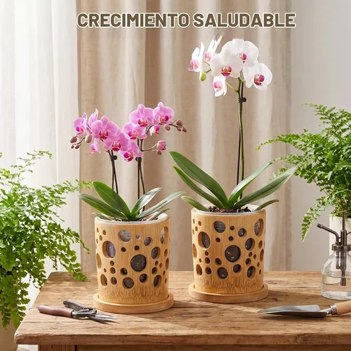Vista 6 de Juego de 2 macetas de orquídeas con agujeros de 4 pulgadas