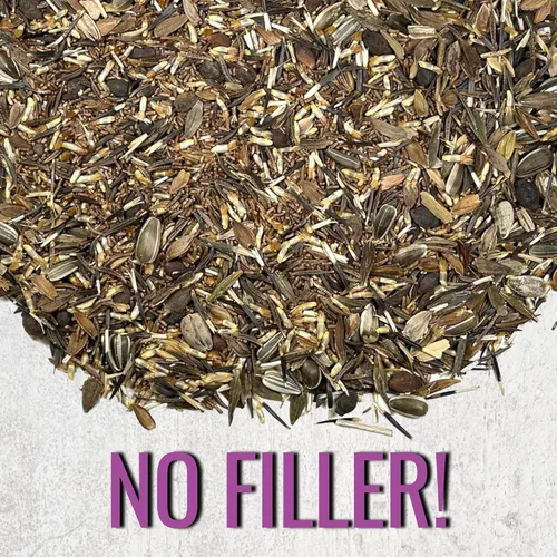 Vista 5 de Seed Needs Semillas de flores de jardín, flores grandes, mezcla de colibrí y mariposa, 1 onza sin relleno, 7 variedades de polinización abierta