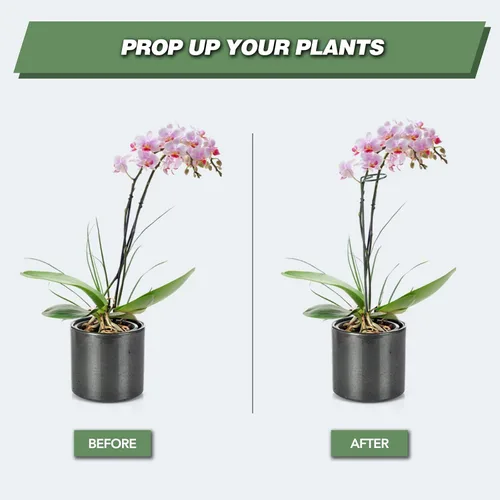 Vista 2 de Joyhalo Paquete de 12 estacas para plantas, estacas de soporte para plantas de 16 pulgadas, soporte de palos para plantas con 24 lazos giratorios