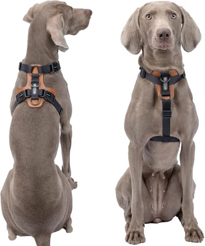 Vista 2 de Arnés para perro, arnés para perro sin tirones con almohadillas lesthe, ideal para pasear y entrenar perros. Arnés para perro fácil de caminar