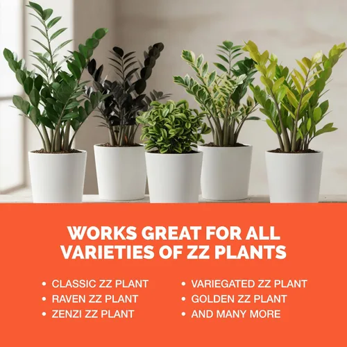 Vista 6 de ZZ Fertilizante para plantas – Alimento líquido para plantas para hojas verdes brillantes, raíces más fuertes y un nuevo crecimiento saludable, 8