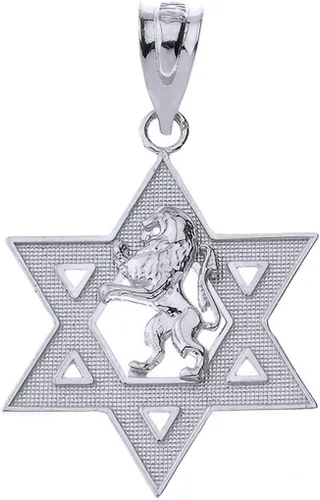 Vista 4 de Colgante hebreo certificado de oro de 14 k Israel León de Judá Magen David Star Hebreo