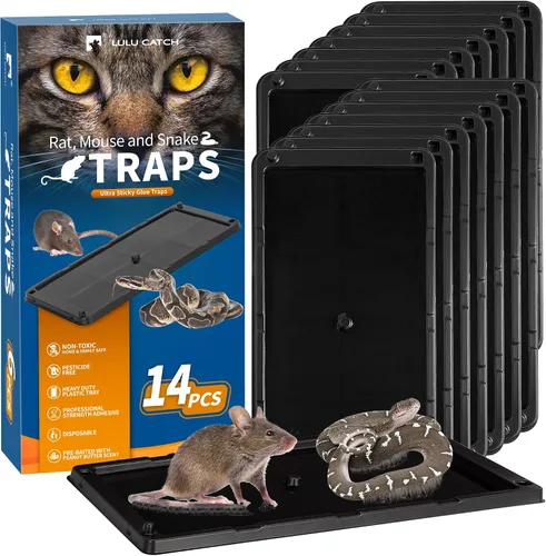 Vista 28 de LULUCATCH, trampas para ratones, 6 unidades de trampas grandes de pegamento para interiores para el hogar, tablas de pegamento a granel pre-cebadas