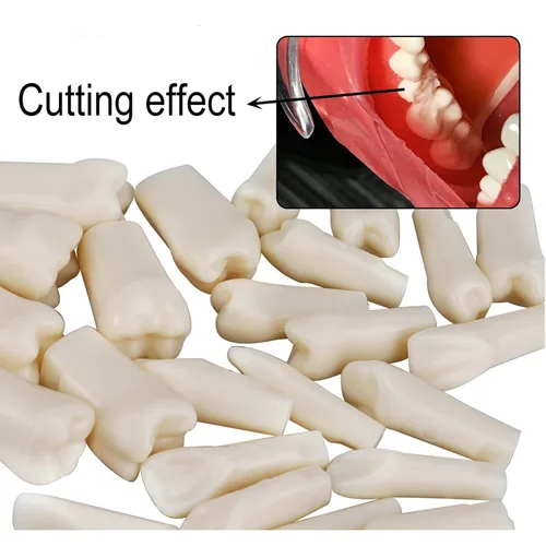 Vista 6 de 32 piezas de dientes Typodont extraíbles para dientes Typodont modelo compatible con Kilgore Nissin práctica dental y enseñanza (28 dientes)