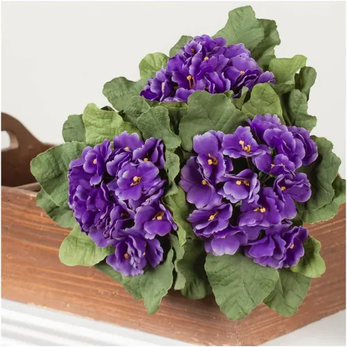Vista 7 de 6 arbustos de violeta africana morada: tallos artificiales de flores de Polysilk Morado