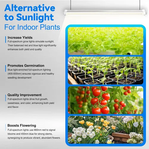 Vista 7 de JESLED Luces de cultivo impermeables para plantas de interior, 2 pies de espectro completo 5000K LED para inicio de semillas, plántulas y verduras