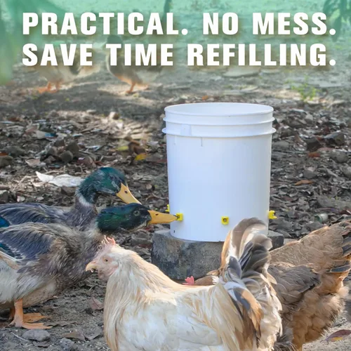 Vista 2 de Tetinas para regar pollo, montaje lateral horizontal, sistema automático de agua antifugas para aves de corral, adecuado para pollos, pato