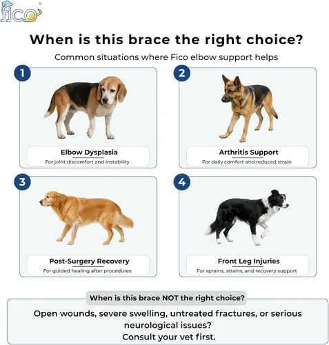 Vista 4 de Codera para perro (pierna derecha) – Soporte ajustable para pierna delantera para displasia de codo, artritis y alivio del dolor – Incluye férulas