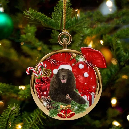 Vista 42 de Nazenti Adorno personalizado de bola de Navidad de pastor australiano – Adorno de perro personalizado para amantes de las mascotas, colgante