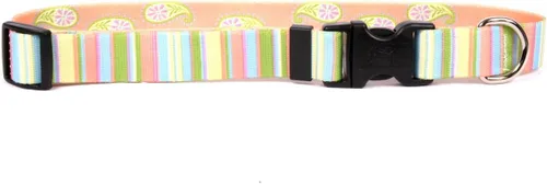 Vista 14 de Yellow Dog Design Collar de perro con rayas navideñas, tamaño grande, 1 pulgada de ancho