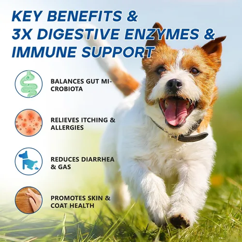 Vista 3 de Probióticos para Perros, Masticables Probióticos para Perros para Levadura, Salud Intestinal, Digestiva e Inmunológica, Alivio de Picazón en Orejas