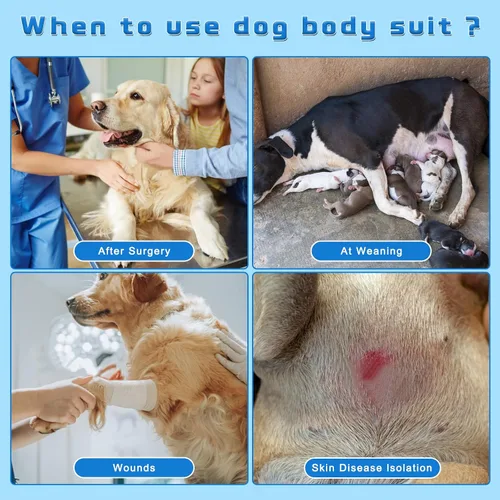 Vista 2 de Paquete de 2 unidades de algodón transpirable para perros de recuperación para después de esterilizar heridas abdominales, protectores profesionales