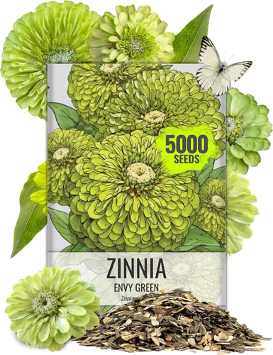 Vista 29 de Seed Needs State Fair - Semillas de zinnia para plantar flores cortadas mixtas, 1 paquete 4-Mezclado