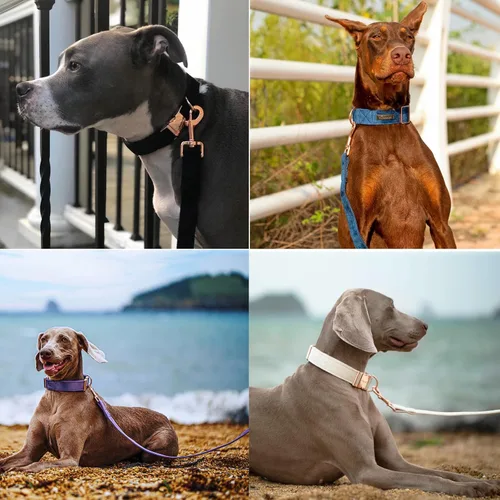 Vista 4 de ARING PET Correa para perro, correas de terciopelo para perro, collares a juego, hecha a mano, resistente correa de terciopelo negro para perros