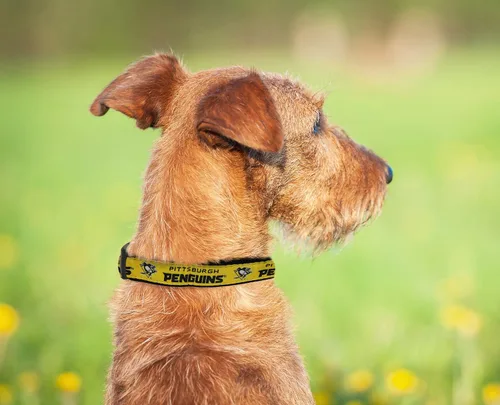 Vista 5 de Collar Pets First NHL para perros y gatos. ¡Ajustable, lindo y elegante! ¡El collar definitivo para fanáticos del hockey! Pittsburgh Penguins